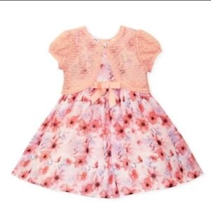 NWT Blueberi Boulevard Floral Pink Kids Dress with Lace Overlay ~sz 4T